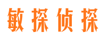 平果出轨调查